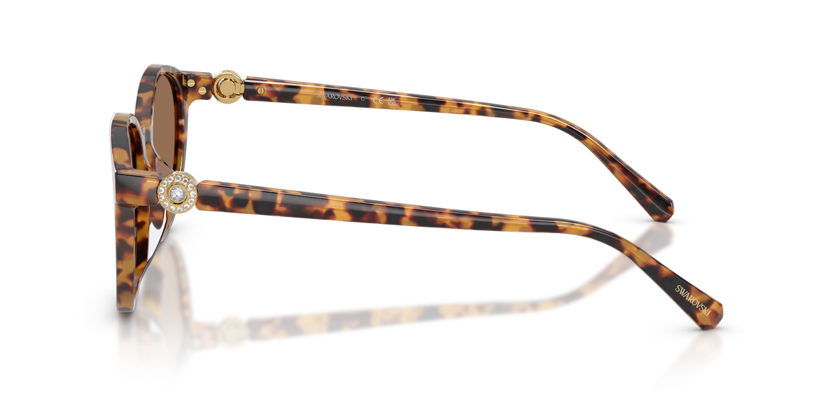 0SK6075D Havana / Dark Brown (104073) side view image 2 barcode 8056262944349