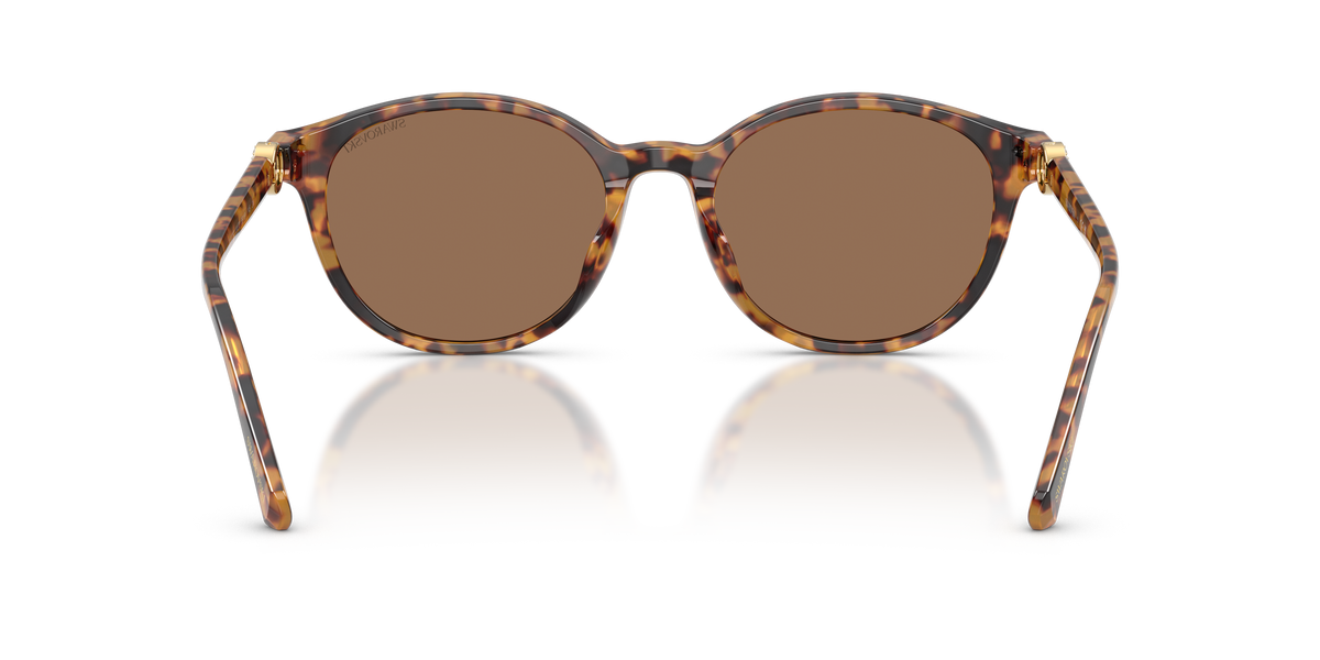 0SK6075D Havana / Dark Brown (104073) rear view image 3 barcode 8056262944349