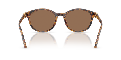 0SK6075D Havana / Dark Brown (104073) rear view image 3 barcode 8056262944349