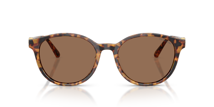 0SK6075D Havana / Dark Brown (104073) front view image 4 barcode 8056262944349