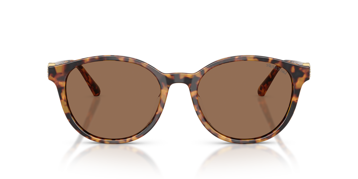 0SK6075D Havana / Dark Brown (104073) front view image 4 barcode 8056262944349