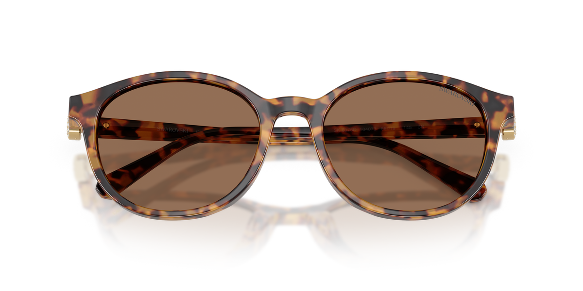 0SK6075D Havana / Dark Brown (104073) close front view image 5 barcode 8056262944349