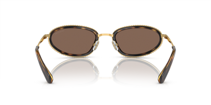 Gold/Black - 0SK7004 8056597955638