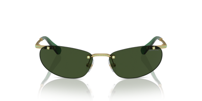 Matte Gold - 0SK7019 8056262081259