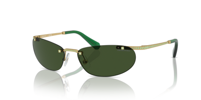 Matte Gold - 0SK7019 8056262081259