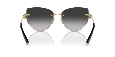 Pale Gold - 0TF3096 8056597916301