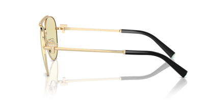 Pale Gold - 0TF3101B 8056262003282