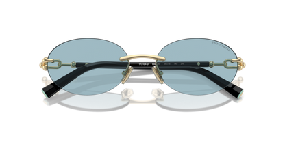 Pale Gold - 0TF3104D 8056262010716