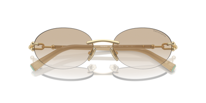 Pale Gold - 0TF3104D 8056262010723