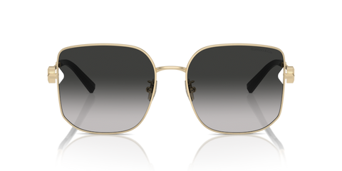 Pale Gold - 0TF3105D 8056262011065