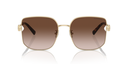 Pale Gold - 0TF3105D 8056262011089