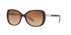 0TF4121B - Tiffany - (Havana) Brown Gradient - 55 - 16 - 140 MM - Ardor Eyewear 8053672589573