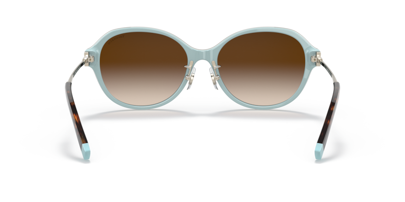 Havana On Tiffany Blue - 0TF4181D 8056597386609