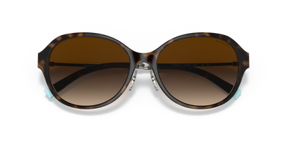 Havana On Tiffany Blue - 0TF4181D 8056597386609