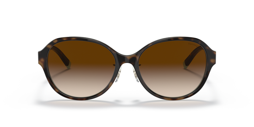 Havana On Tiffany Blue - 0TF4181D 8056597386609