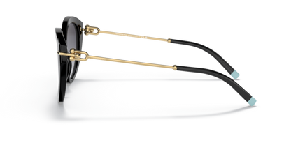 Black - 0TF4187 8056597580588