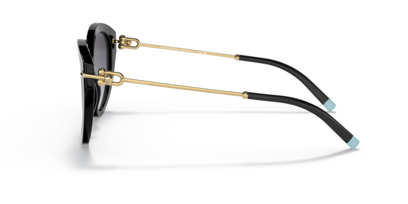 Black - 0TF4187 8056597580588