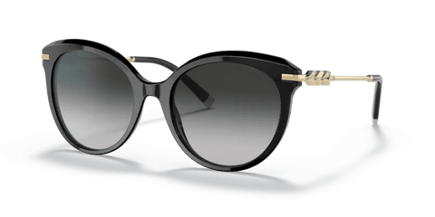  0TF4189B - Sunglasses -  Tiffany & Co. -  Ardor Eyewear