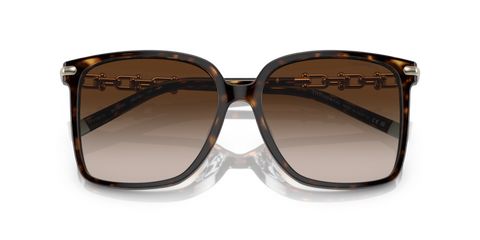 Tiffany 0TF4194D Havana 8056597752480