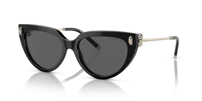  0TF4195 - Sunglasses -  Tiffany & Co. -  Ardor Eyewear