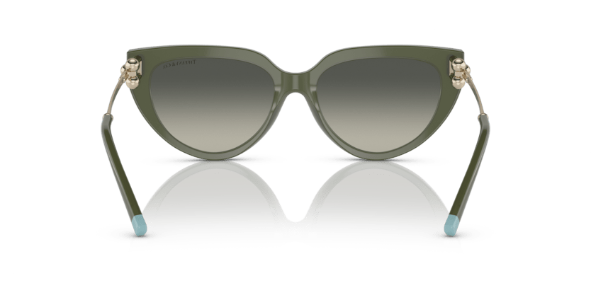 0TF4195 - Tiffany - (Opal Green) Grey Gradient - 54 - 17 - 140 MM - Ardor Eyewear 8056597752268