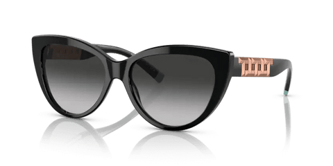  0TF4196 - Sunglasses -  Tiffany & Co. -  Ardor Eyewear