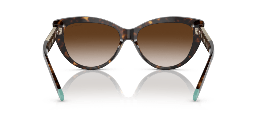 0TF4196 - Tiffany - (Havana) Brown Gradient - 56 - 16 - 140 MM - Ardor Eyewear 8056597752305