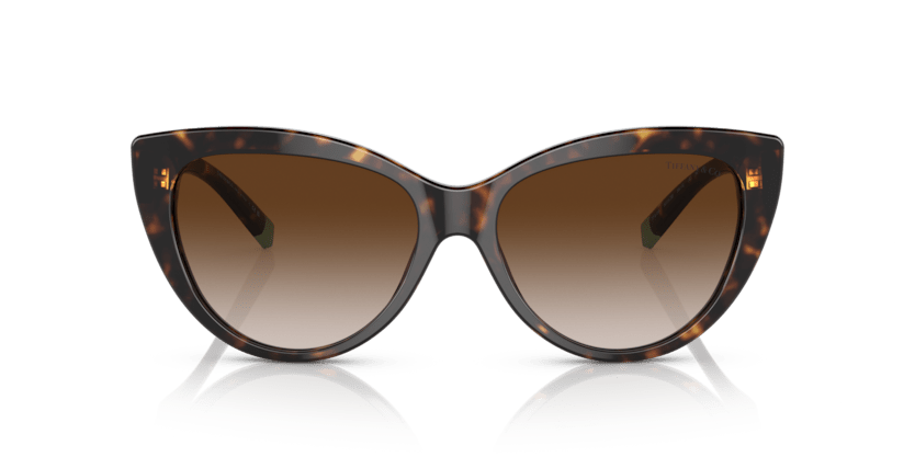 0TF4196 - Tiffany - (Havana) Brown Gradient - 56 - 16 - 140 MM - Ardor Eyewear 8056597752305