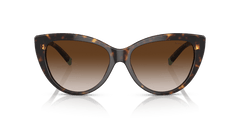 0TF4196 - Tiffany - (Havana) Brown Gradient - 56 - 16 - 140 MM - Ardor Eyewear 8056597752305