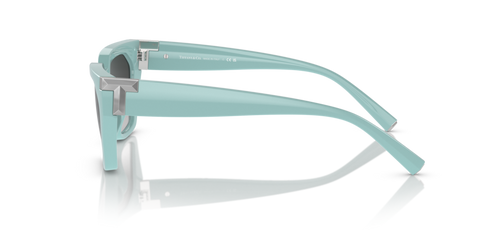 Tiffany Blue - 0TF4205U 8056597901673