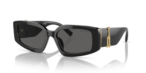  0TF4208U - Sunglasses -  Tiffany & Co. -  Ardor Eyewear