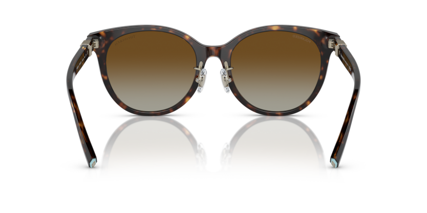 Havana - 0TF4209D 8056597851459