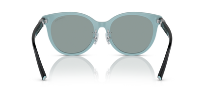 Black On Tiffany Blue - 0TF4209D 8056597851473