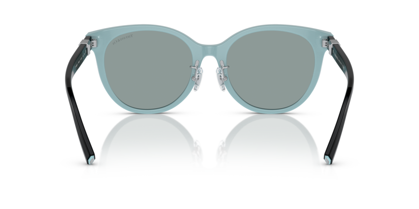 Black On Tiffany Blue - 0TF4209D 8056597851473