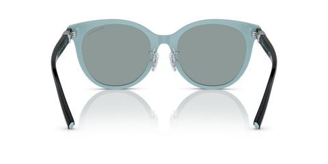 Black On Tiffany Blue - 0TF4209D 8056597851473