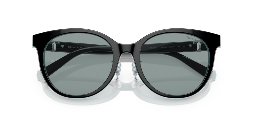 Black On Tiffany Blue - 0TF4209D 8056597851473