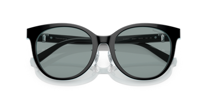 Black On Tiffany Blue - 0TF4209D 8056597851473