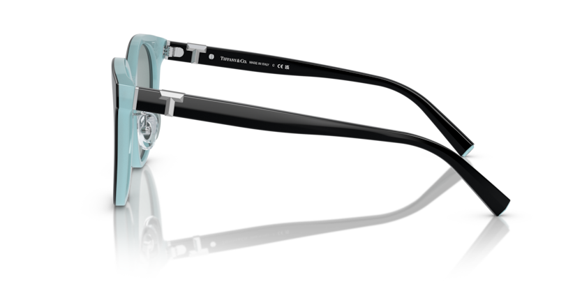 Black On Tiffany Blue - 0TF4209D 8056597851473