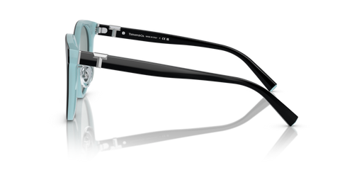 Black On Tiffany Blue - 0TF4209D 8056597851473