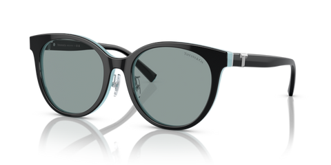Black On Tiffany Blue - 0TF4209D 8056597851473