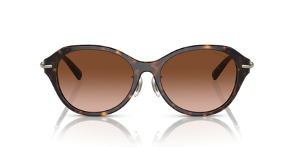 Havana - 0TF4210D 8056597853248