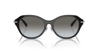 Black On Crystal Tiffany Blue - 0TF4210D 8056597852241