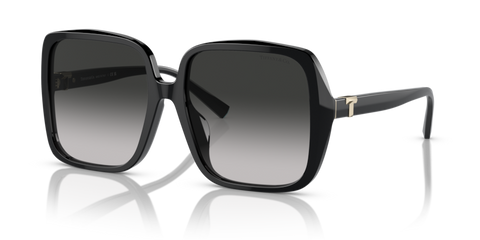 Black - 0TF4211D 8056597853279