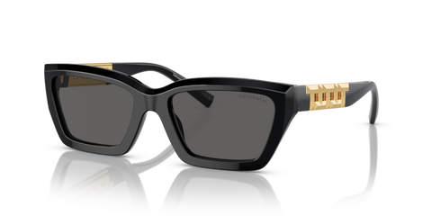 Black - 0TF4213 8056597916134