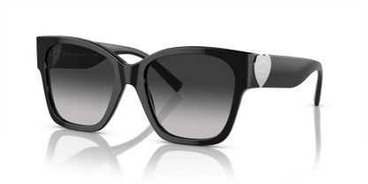 Black - 0TF4216 8056597916837