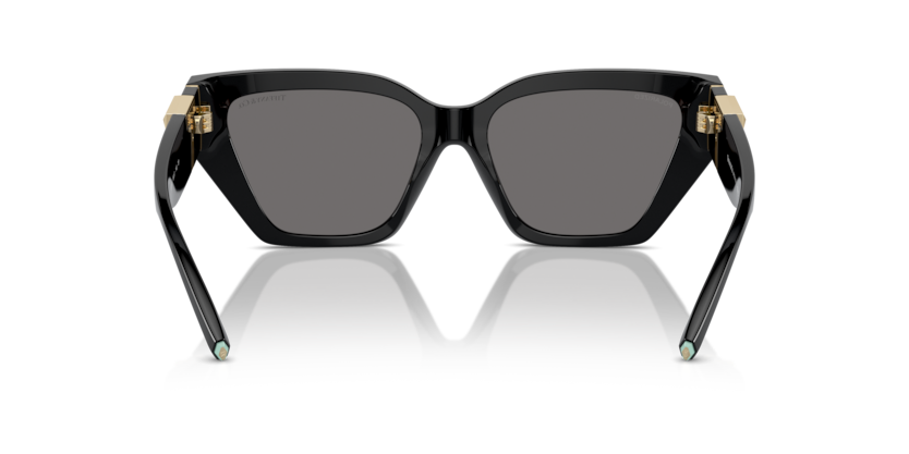 Black - 0TF4218 8056262003725