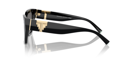 Black - 0TF4218 8056262003725