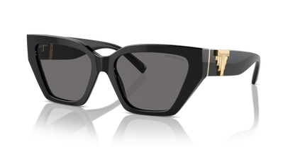 Black - 0TF4218 8056262003725