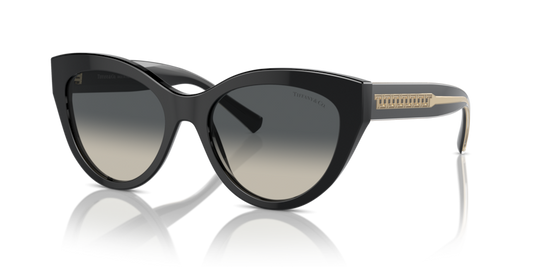 Black - 0TF4220 8056262003824