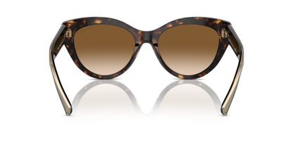 Havana - 0TF4220 8056262003848